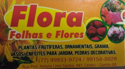 FLORA FOLHAS E FLORES - Caetité
